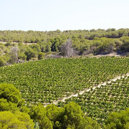 Feriehus Casa Vromans Alto Torrevieja