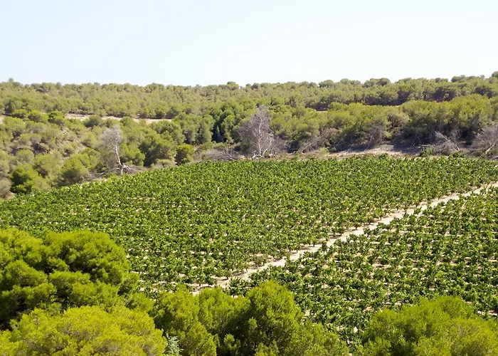 Hébergement de vacances Casa Vromans Alto Torrevieja